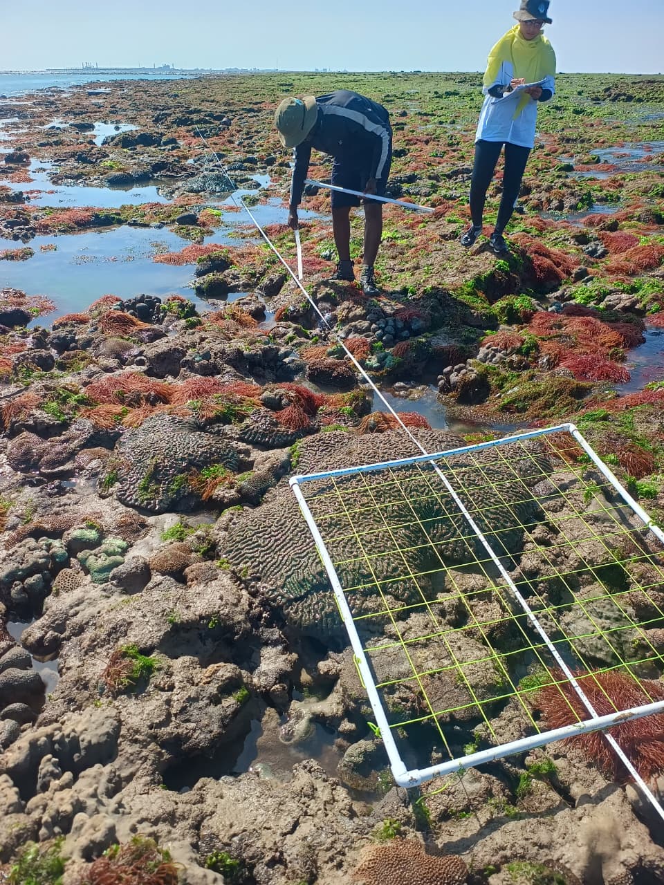GFRF - Coral Health & Resilience at MNP 42
